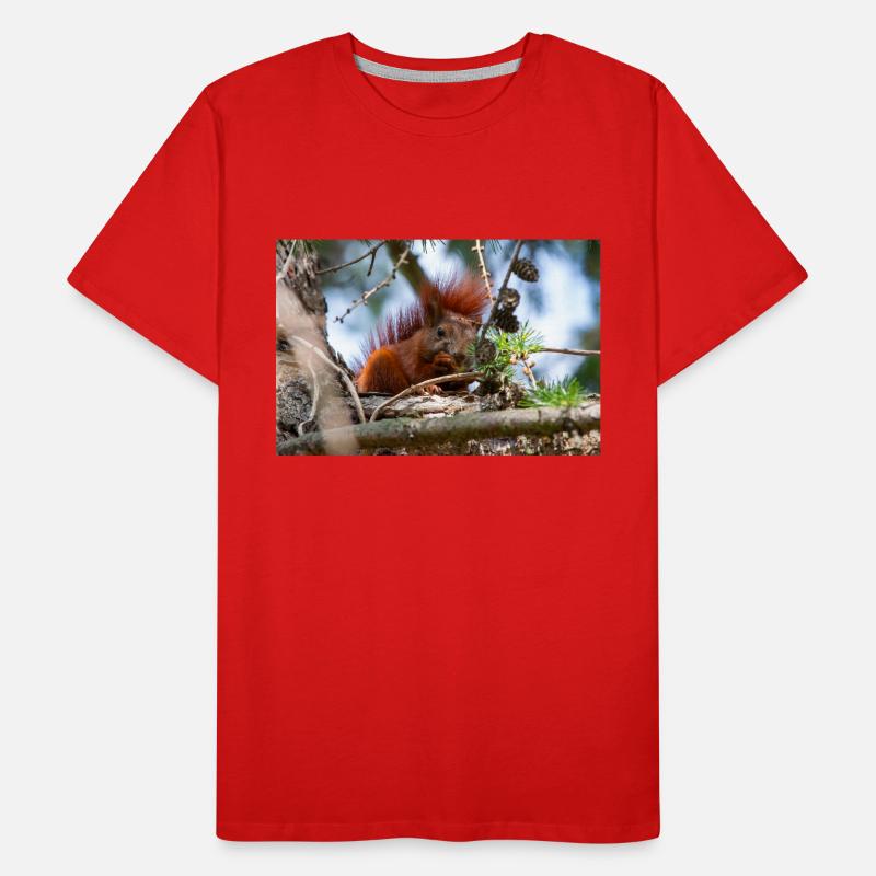 écureuil (en allemand Eichhörnchen) Sciurus T-shirt bio Premium Homme