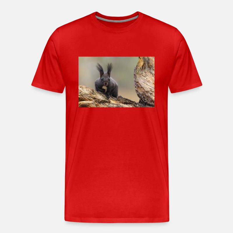 Oachkatzl / Eichhörnchen - Männer Premium Bio T-Shirt - Rot
