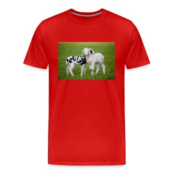 Lambs Black & White - Men's Premium Organic T-Shirt - red - Front - Damien (186cm)
