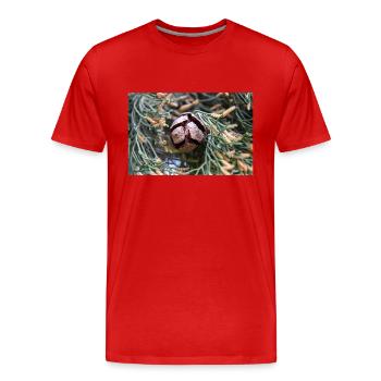 Italian cypress also Mediterranean cypress - Men's Premium Organic T-Shirt - red - Front - Damien (186cm)