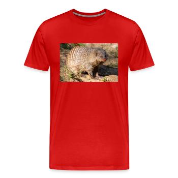 Mangouste baguée ou mangouste zébrée Zebramanguste - T-shirt bio Premium Homme - rouge - Devant - Damien (186cm)