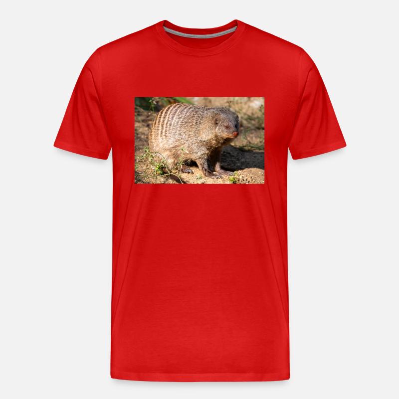 Gebänderte Manguste oder Zebramanguste Zebramanguste - Männer Premium Bio T-Shirt - Rot