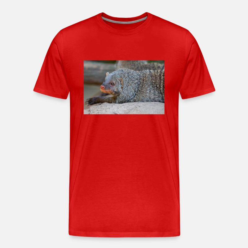 Gebänderte Manguste oder Zebramanguste Zebramanguste - Männer Premium Bio T-Shirt - Rot