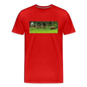 Pferde auf der Wiese - Männer Premium Bio T-Shirt - Rot - Vorne - Damien (186cm)
