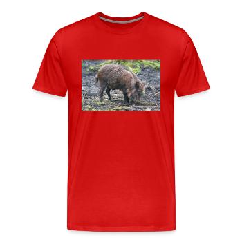 Sanglier (en allemand Wildschwein) Sus scrofa - T-shirt bio Premium Homme - rouge - Devant - Damien (186cm)
