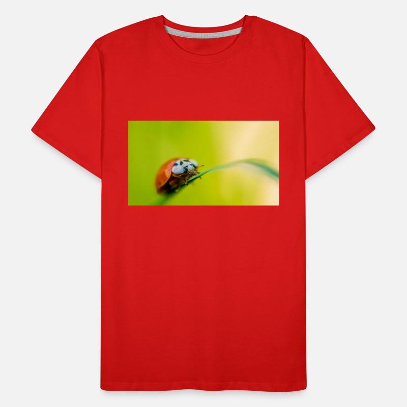 ladybug Men's Premium Organic T-Shirt