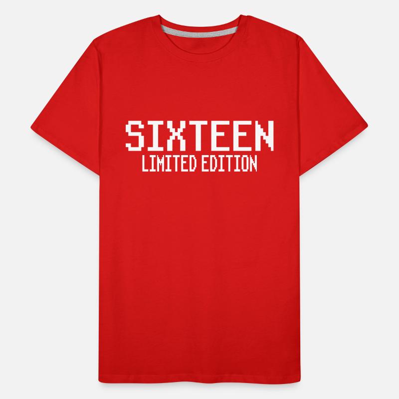 16e anniversaire Seize pixels T-shirt bio Premium Homme