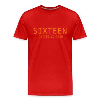 16 Jahre 16. Geburtstag Geschenk Sechzehn - Männer Premium Bio T-Shirt - Rot - Vorne - Damien (186cm)