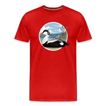 Eider Duck Somateria Mollissima - T-shirt bio Premium Homme - rouge - Devant - Damien (186cm)