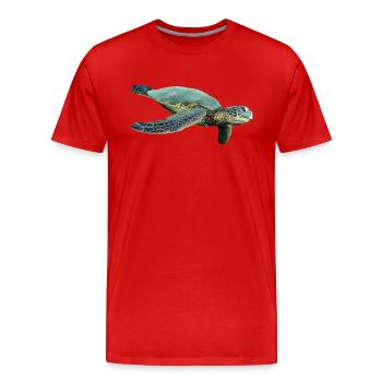 turtle schildkroete tiere animals6 - Männer Premium Bio T-Shirt - Rot - Vorne - Damien (186cm)