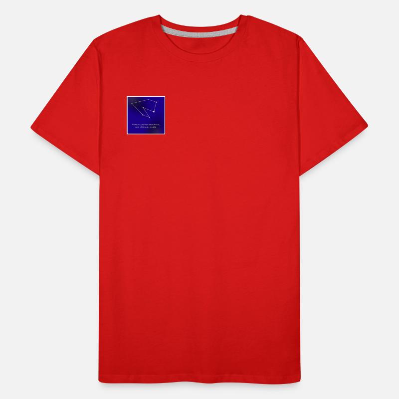 Constellation queer T-shirt bio Premium Homme