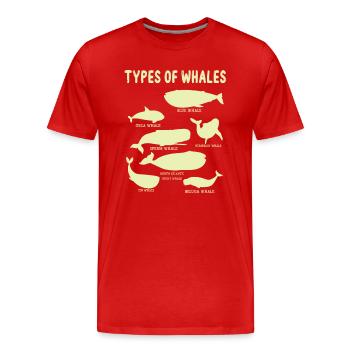 Types of Whales Whale Lovers Whales Species - Männer Premium Bio T-Shirt - Rot - Vorne - Damien (186cm)