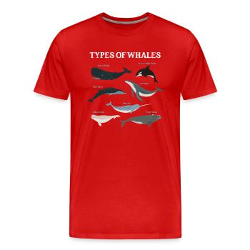 Types of Whales Whale Lovers Whales Species - Men's Premium Organic T-Shirt - red - Front - Damien (186cm)