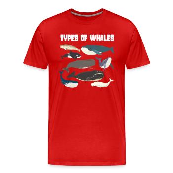 Types of Whales Whale Lovers Whales Species - Männer Premium Bio T-Shirt - Rot - Vorne - Damien (186cm)