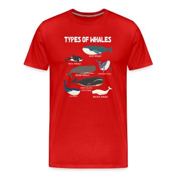 Types of Whales Whale Lovers Whales Species - Männer Premium Bio T-Shirt - Rot - Vorne - Damien (186cm)