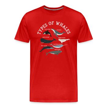 Types of Whales Whale Lovers Whales Species - Männer Premium Bio T-Shirt - Rot - Vorne - Damien (186cm)