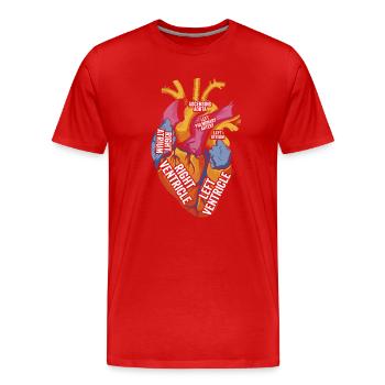 Teile des Herzens - Männer Premium Bio T-Shirt - Rot - Vorne - Damien (186cm)