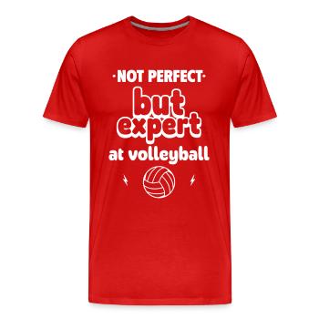 Experte für Volleyball - Männer Premium Bio T-Shirt - Rot - Vorne - Damien (186cm)