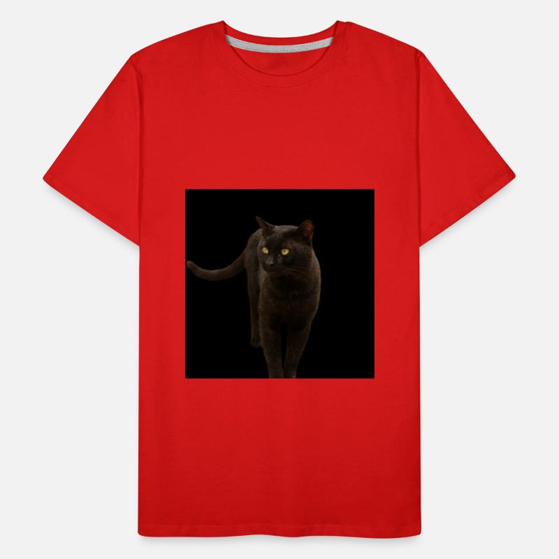 chat noir chat chaton T-shirt bio Premium Homme