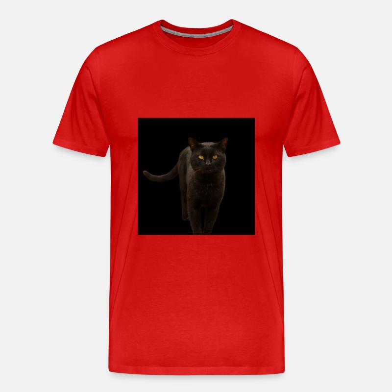 schwarze Katze Kätzchen Katze - Männer Premium Bio T-Shirt - Rot