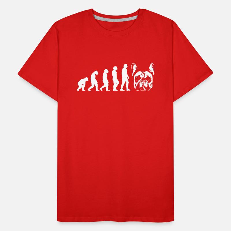 Evolution Bouledogue Français T-shirt bio Premium Homme