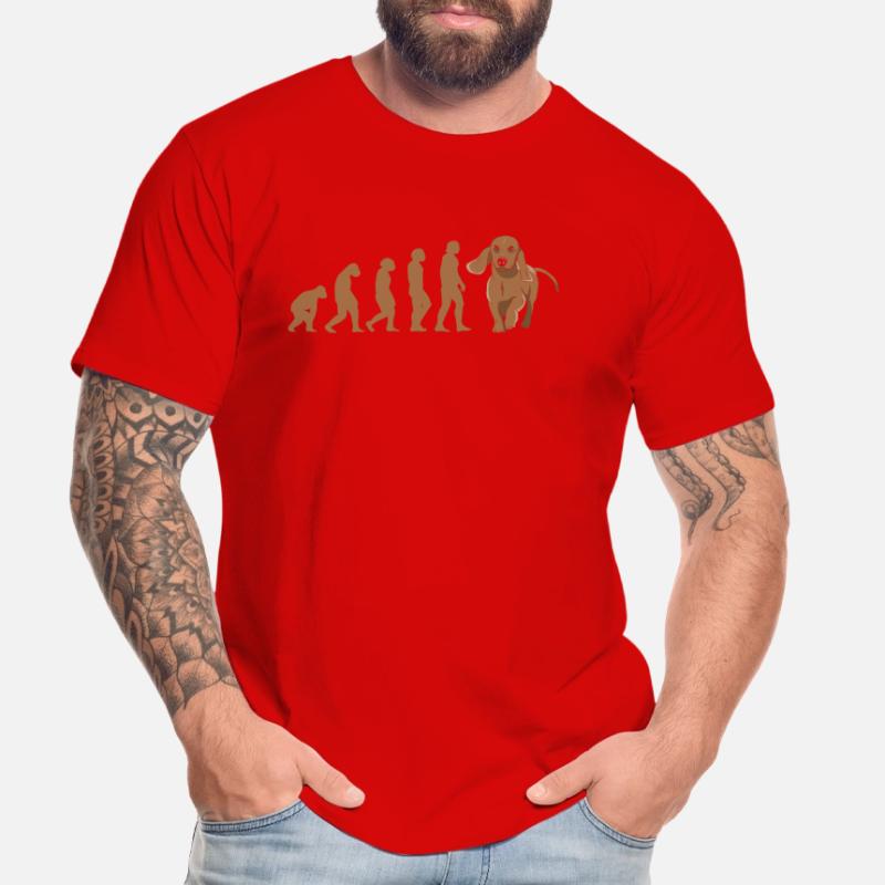 Teckel d’évolution T-shirt bio Premium Homme