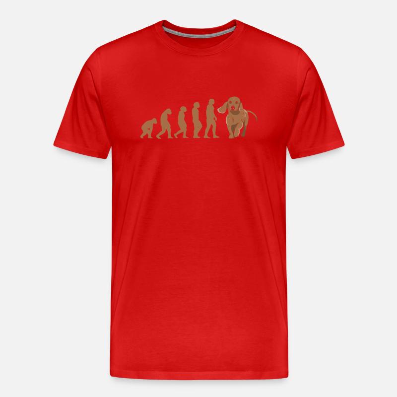 Evolution Dachshund - Männer Premium Bio T-Shirt - Rot
