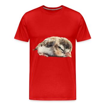 Finch Bird - Männer Premium Bio T-Shirt - Rot - Vorne - Damien (186cm)