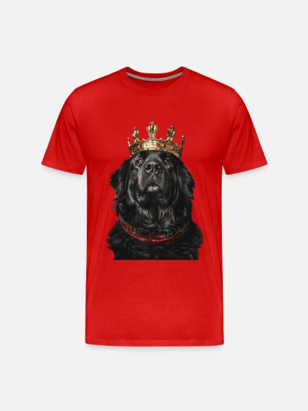 Terre-Neuve - T-shirt bio Premium Homme - rouge