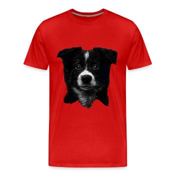 Border Collie - Männer Premium Bio T-Shirt - Rot - Vorne - Damien (186cm)