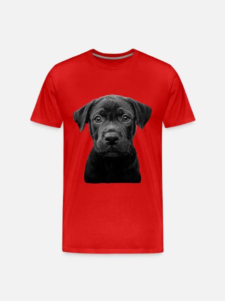 Cane Corso - Männer Premium Bio T-Shirt - Rot