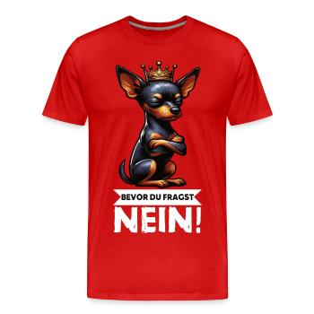Avant de demander à Miniature Pinscher Pinscher Pinscher Fan - T-shirt bio Premium Homme - rouge - Devant - Damien (186cm)