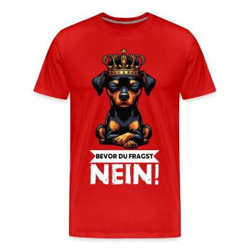 Avant de demander à Miniature Pinscher Pinscher Pinscher Fan - T-shirt bio Premium Homme - rouge - Devant - Damien (186cm)