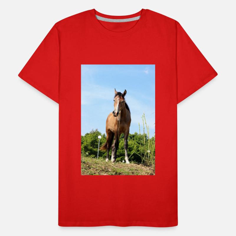 Pferd Männer Premium Bio T-Shirt