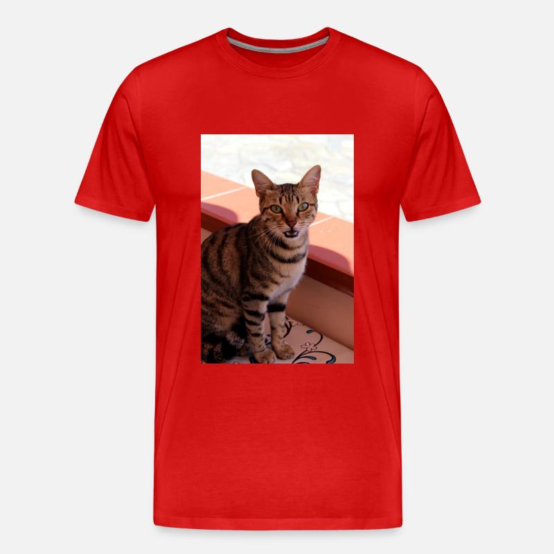 Katze, Kätzchen - Männer Premium Bio T-Shirt - Rot