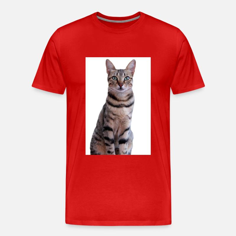 Katze Kätzchen - Männer Premium Bio T-Shirt - Rot