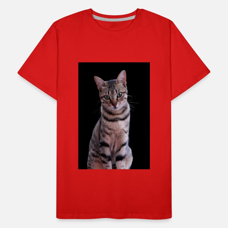 Katze Katze süßes Kätzchen Männer Premium Bio T-Shirt