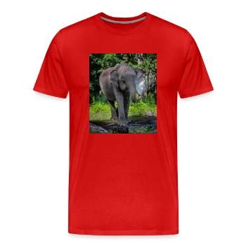 Beautiful Elephant - Men's Premium Organic T-Shirt - red - Front - Damien (186cm)