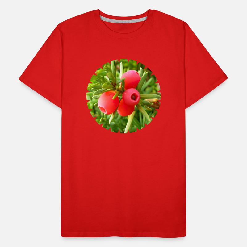Die Eibe, ein heimischer Nadelbaum Männer Premium Bio T-Shirt