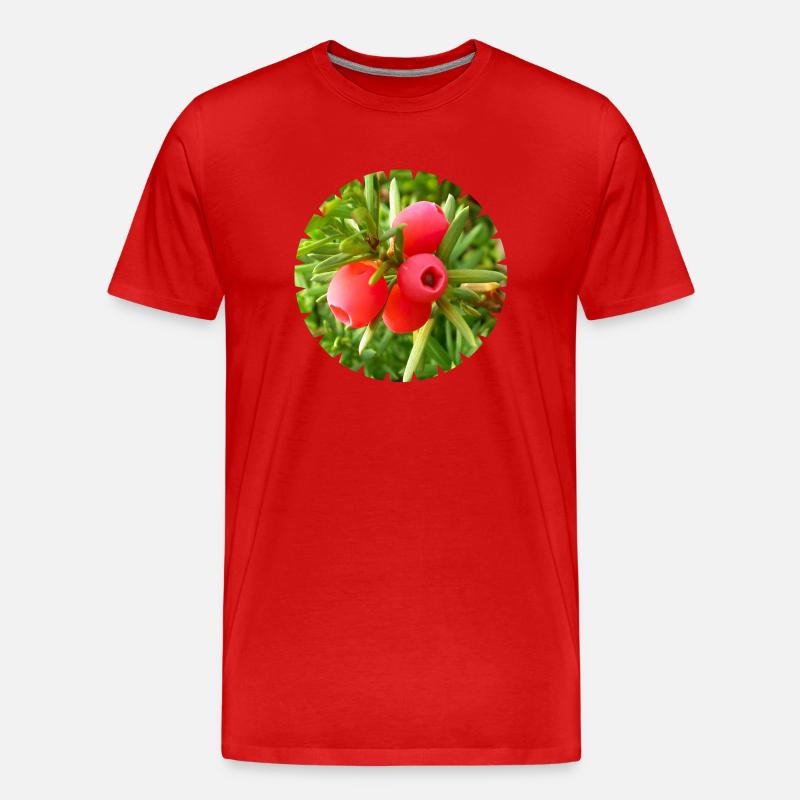 Die Eibe, ein heimischer Nadelbaum - Männer Premium Bio T-Shirt - Rot