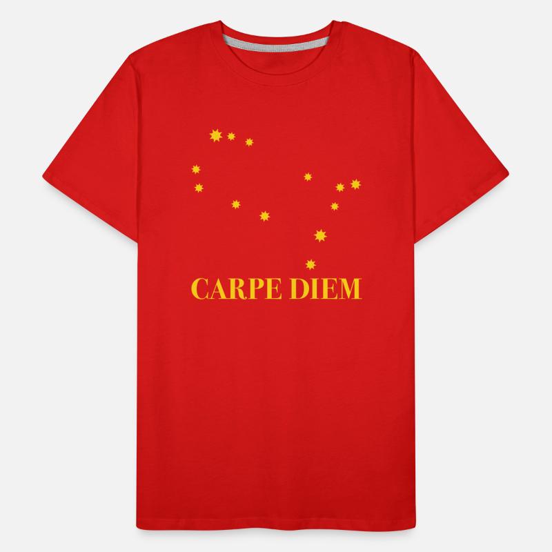 Carpe Diem a utilisé la constellation du jour Gémeaux T-shirt bio Premium Homme