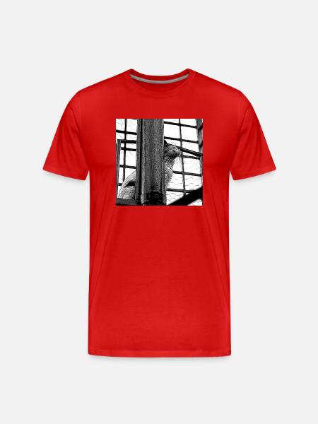 The cat on the roof - Men's Premium Organic T-Shirt - red