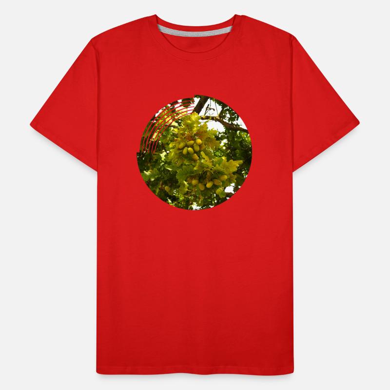 In autumn, acorns fall from the trees Men's Premium Organic T-Shirt