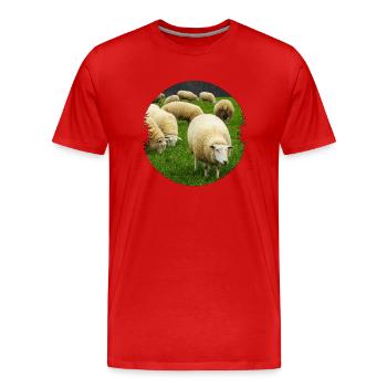 Schafe sind ideale Landschaftspfleger - Männer Premium Bio T-Shirt - Rot - Vorne - Damien (186cm)