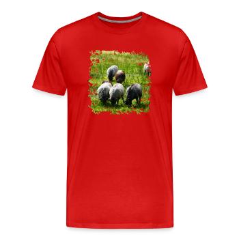 Heidschnucken are an old breed of sheep - Men's Premium Organic T-Shirt - red - Front - Damien (186cm)
