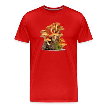 La cueillette des champignons a une longue tradition - T-shirt bio Premium Homme - rouge - Devant - Damien (186cm)