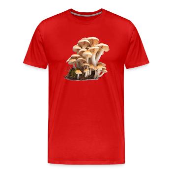 Mushrooms are ecologically important - Men's Premium Organic T-Shirt - red - Front - Damien (186cm)