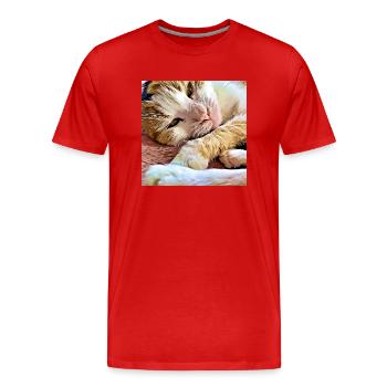 Nahaufnahme älterer Hauskatzen beim Legen und Ausruhen - Männer Premium Bio T-Shirt - Rot - Vorne - Damien (186cm)