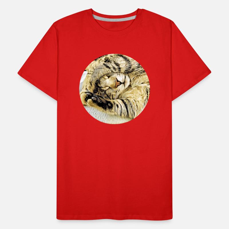 Chubby sleeping tabby cat Men's Premium Organic T-Shirt
