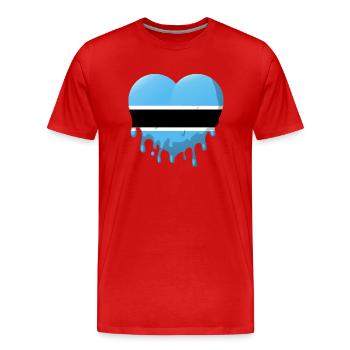 Botswana Flagge Botswana Fahne Afrika - Männer Premium Bio T-Shirt - Rot - Vorne - Damien (186cm)